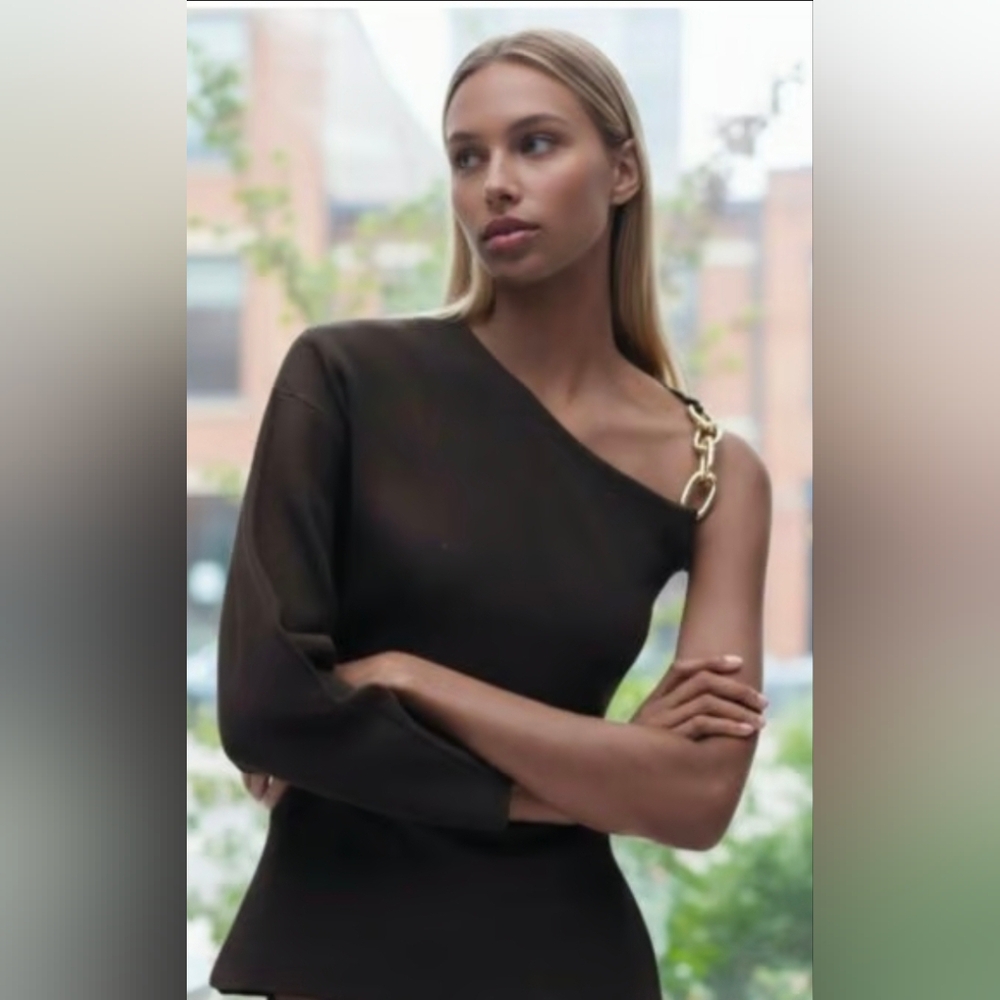 Zara Dark Brown Knit Top